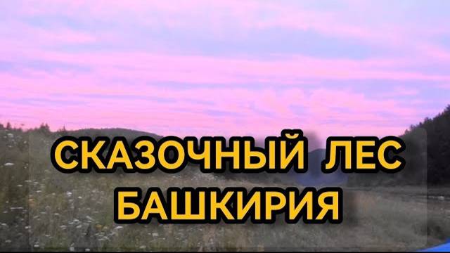 Сказочный лес. Река Белая Башкирия. Июль 2021