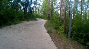 г. Томск Михайловская роща 03.07.2023