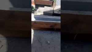 Строим пристройку к бане. 2.