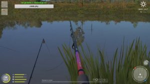 Russian Fishing 4. Русская рыбалка 4. Трофейная чехонька есть? А если найду? Стрим.