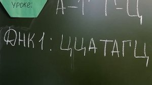 Решение задач (принцип комплементарности для ДНК)