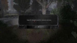 S T A L K E R  Лабиринт #12  Мертвый Город