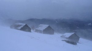 Атмосфера зимней бури с ледяными воющими звуками ветра для сна, отдыха