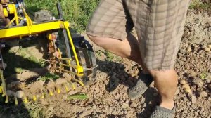 копаем картошку 26.08.22 переделанной картофелекопалкой