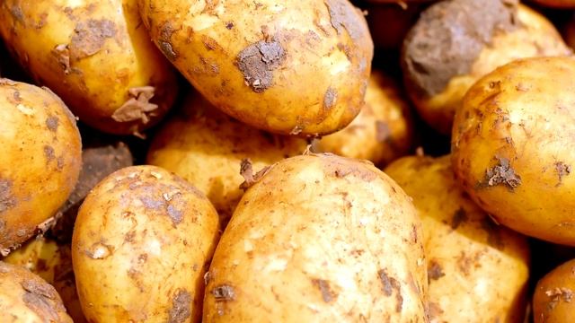 Тонна Картофеля с Одной Сотки, Самый Хитрый Способ Завального Урожая Картофеля! смотреть онлайн