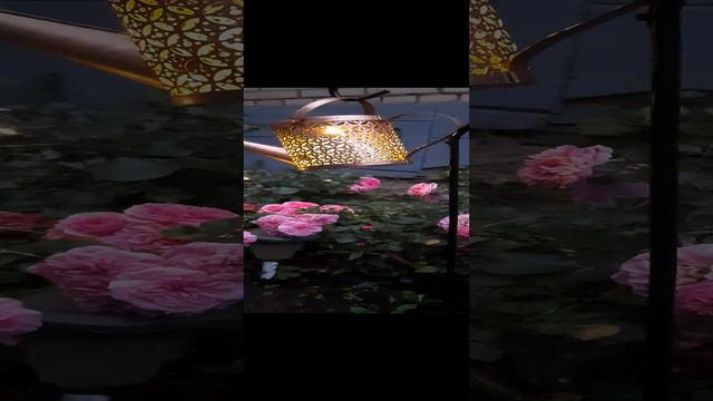 Пение цикад смотреть онлайн