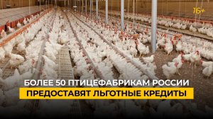 Более 50 птицефабрикам России предоставят льготные кредиты