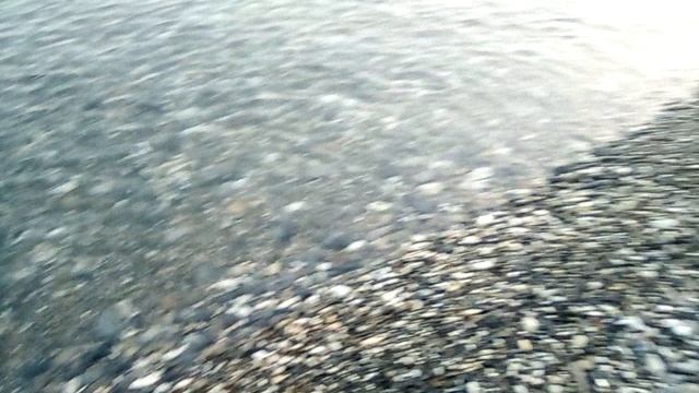 Геленджик. Бетта. Чистое море.
