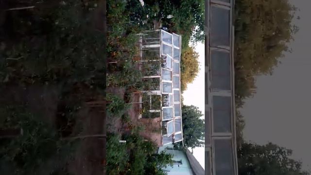 Жить в деревне лучше смотреть онлайн