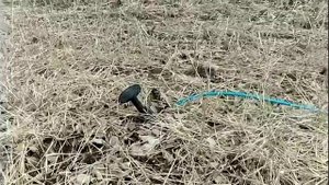 Испытание грузинского якоря в поле