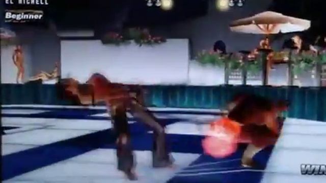 Torneo TPro 2008 Capoeira [Christie] v/s Duke [Bruce] - Parte 3/3 смотреть онлайн