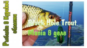 Black Hole Trout Mania в деле: окушки, жерешки, голавлики и красноперка. Ультралайт в сентябре