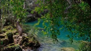 срываю лист календаря  дискотека из 3 песен.mp4