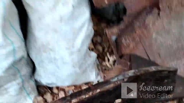 СОБРАЛ 6 МЕШКОВ КОНСЕРВНЫХ БАНОК В ЛЕСОПОЛОСЕ смотреть онлайн