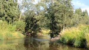 "Тюкалка" - уловистая снасть для мест где не работают другие способы.