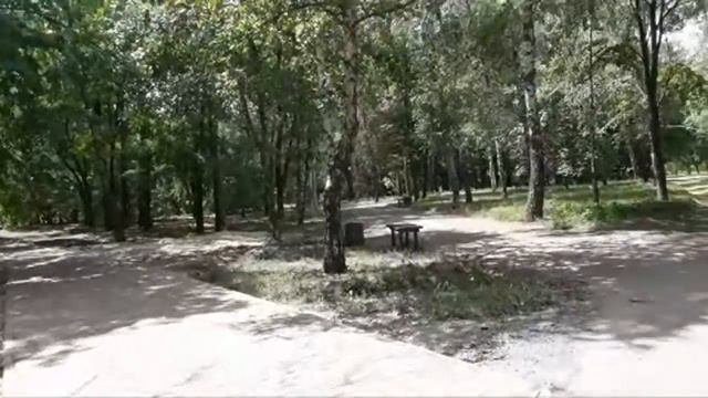 🌈 Прямая Трансляция  !!! Вместе с  Вами у Собора и в Парке !!! О растениях - Полезные Свойства !!!