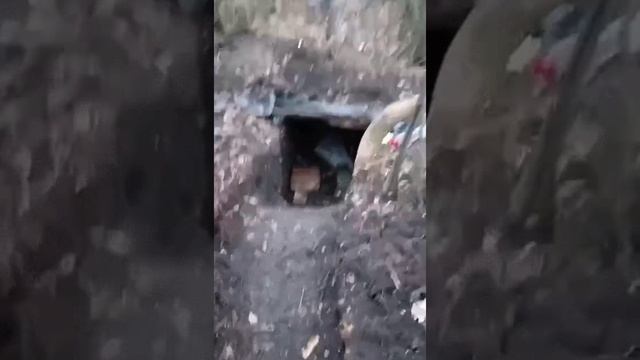 18+ Артёмовское_ Хорошее чувство юмора, жаль, что не сможешь передать по наследству...