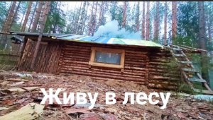 Изба примет как родного! Пора пара. Рыбалка просто КЛАСС!Real fishing and life in the forest