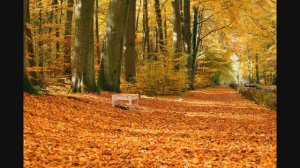 БИЛЛ ЛИВЕРСИДЖ.  РЕЦЕПТ ПРОТИВ СТРЕССА 2, 8.