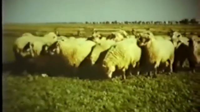 Основные методы селекции