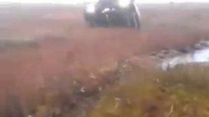 пелец на болоте 10 2013