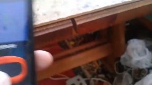 Шарманка на 6П3С  Часть 1