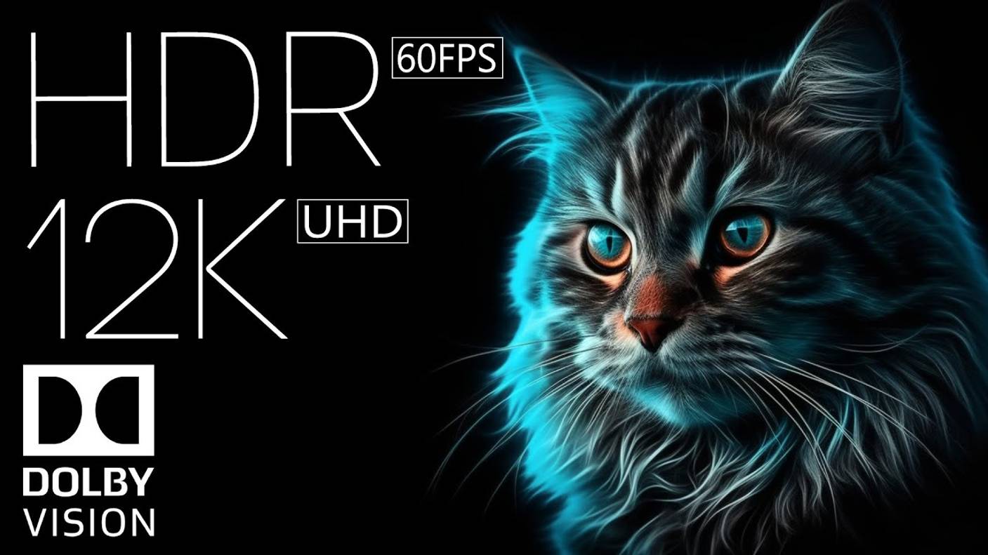 Красочное Видео 12K HDR 60fps Dolby Vision смотреть онлайн