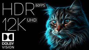 Красочное Видео 12K HDR 60fps Dolby Vision