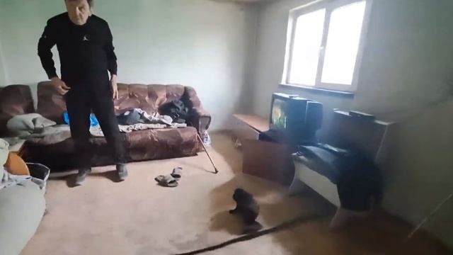 СЛУЧАЙНО ВСТРЕТИЛ ЛЮДМИЛУ . ЕДЕМ В БОЛЬНИЦУ С ВОЛОДЕЙ ЧТО НАМ СКАЖУТ ?