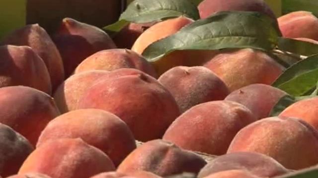 Уборка персика смотреть онлайн