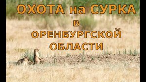 ОХОТА на СУРКА в Оренбургской области 2021 (перезалив)