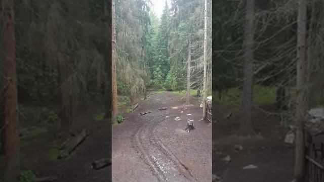 Охота на кабана в Московской области с вышки. смотреть онлайн