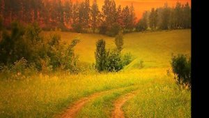 Слайд шоу из фото о природе