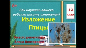 7. Как научиться писать изложение? Изложение "Птицы"
