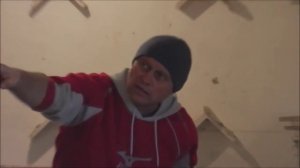 Бакинские голуби в Подмосковье