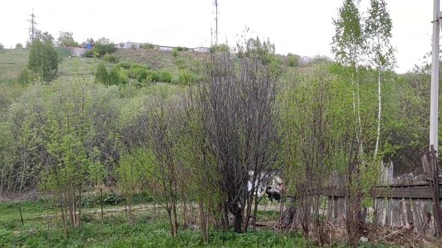 Как же много всего зацвело смотреть онлайн