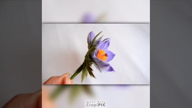 Цветы изшерсти сон трава смотреть онлайн