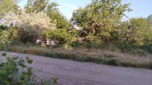 Каховское водохранилище,дачи Труд. 3.06.2022.Новая Каховка