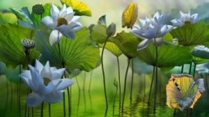 Джап Джи Сахиб 1й Паури. 11 повторений в исполнении Снатам Каур