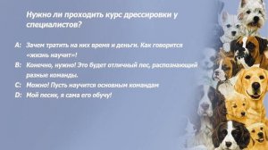 Тест: Какая порода собаки тебе подойдет?