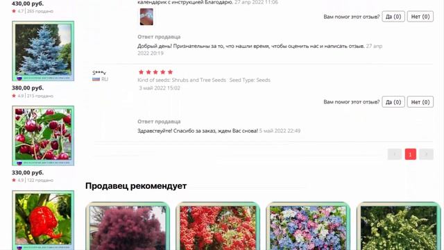 Бересклет крылатый семена 20 ШТ смотреть онлайн