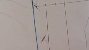 Меховые рукавицы Варежки из натурального меха Базовая выкройка рукавиц Крой и шитьё для начинающих