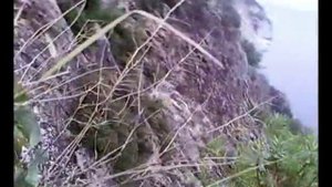 Каруля, гора Афон.