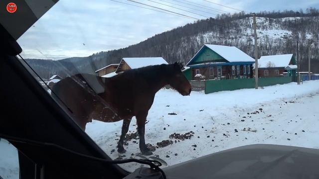 ОТДЫХ в БАШКИРИИ, ПЛЮСЫ и МИНУСЫ. ДВЕ НИВЫ в СНЕГУ.