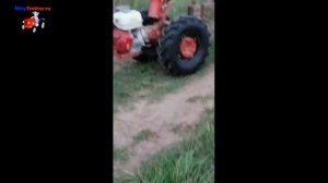 Высокие шины Ozka 7/00-12 на мотоблок МТЗ вместо штатных, MinyTraktor.ru