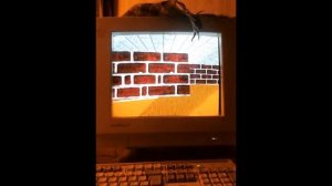 3D maze screensaver on Windows 95