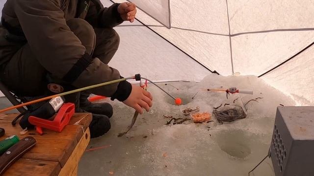 Приморский край. Морская рыбалка. Камбала.