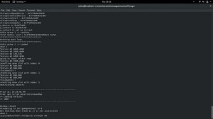 Forager on Fedora 29 FPS fix