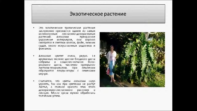 Аллоказия