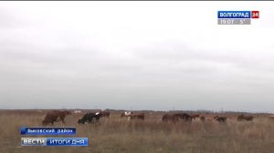 Господдержка помогла волгоградцам превратить семейную ферму в процветающее производство